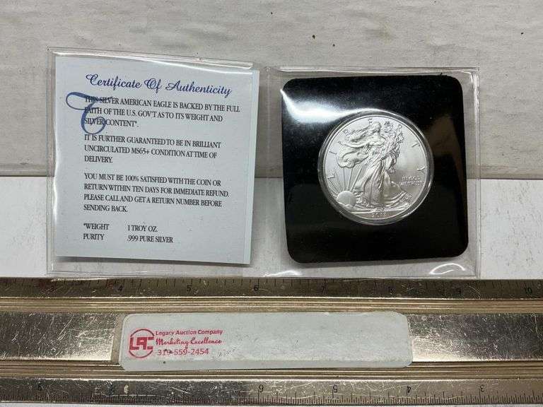 2013 American Eagle silver dollar