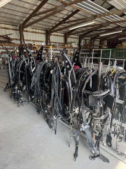 Harness, 6-up Draft Horse Show