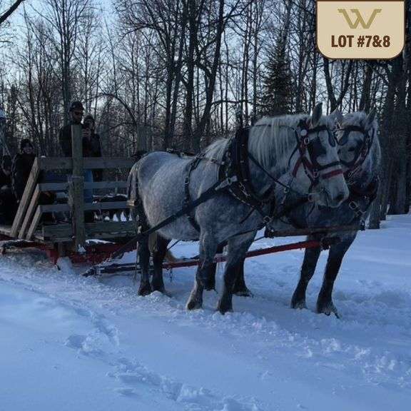 Thursday, March 26th - Draft Horse Auction