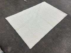 Area Rug 5'x8'