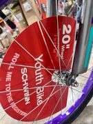 Astrid 20" Youth Bicycle