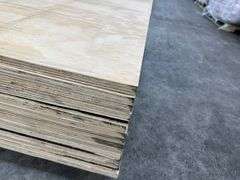 CDX Plywood 3/4"x48"x96"