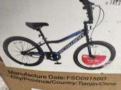 20" Falcon Youth Bicycle