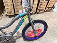 Astrid 20" Youth Bicycle