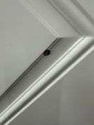Exterior Steel Door 36" RH