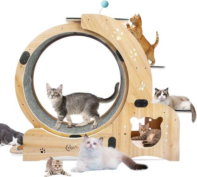 6-in-1 Cat Exercise Wheel