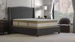 Saatva Rx For Joint Pain Hybrid Queen Mattress Online Retail: $3399