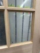 Doug Fir Exterior 9 Lite Door 36"x80" LH