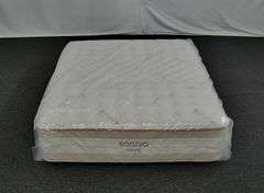 Saatva Rx For Joint Pain Hybrid Queen Mattress Online Retail: $3399