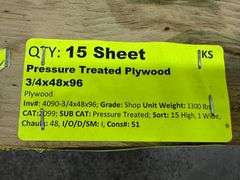 Pressure Treated Plywood 3/4"x48"x96"