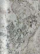 Laminate Countertops 10'