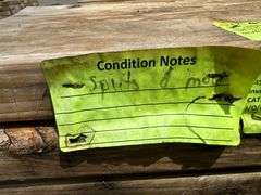 SPF Dimensional Lumber 2"x6"x8'