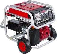 9000 Watt Portable Gas Generator