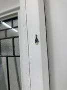 Fiberglass Decorative Entrance Door 36"x80", 2 Side Lites, Left Hand