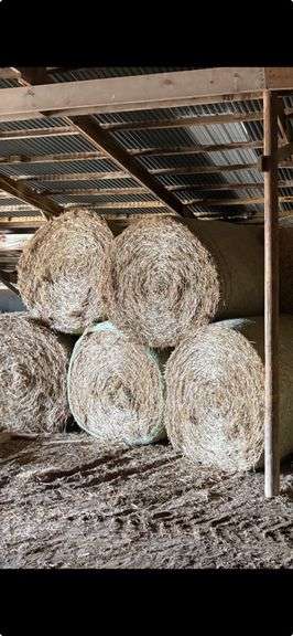 (30) 5 X 6 Net Wrapped Wheat Straw, 2025 Crop, Shedded. Owner Will Help Load. Location North Of Coffeen Illinois