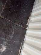 40’ WUXI 2 Side Doors and 1 Back Door Container, 40' long x 8' wide,
1 ea. Back Doors measures 102" tall X 92" wide,
2 ea. Side Doors  measures  98" tall X 110” wide,
inside dimension 89” wide,
Tie down anchors on inside of container,
Minor floor scratches on inside, minor wall scratches and dents, 
All doors have weatherstripping, 
1 time use,
Has vents on side walls, 
Container # ZNCU 400736 4