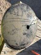 (2) 16” Star Shaft disc Blades