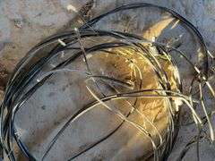 Aluminum TriPlex And 3 Conductor 1 -0 AWG