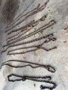 (8) 10’-12’ light Duty Log Chains W/Hooks