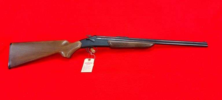 Savage 24-E .410 3"/.22 LR