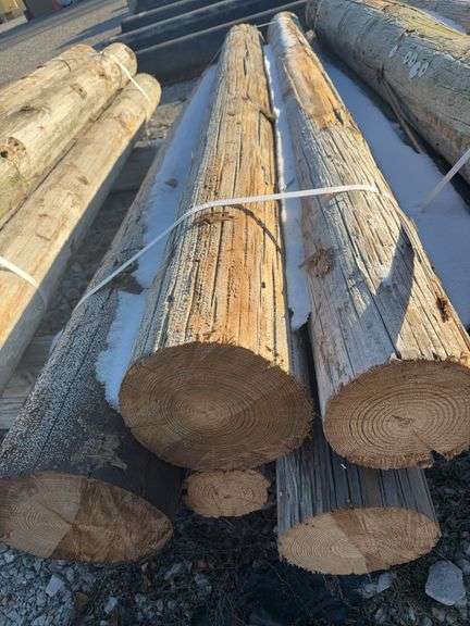 (10) 8’ Telephone Pole Posts