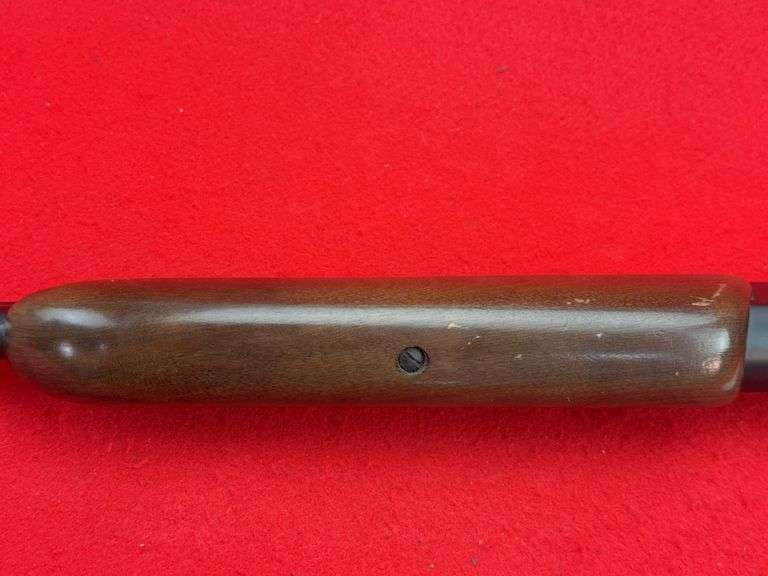 Savage 24-E .410 3"/.22 LR