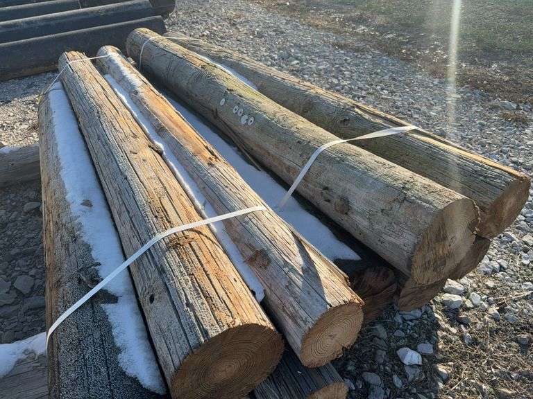 (10) 8’ Telephone Pole Posts