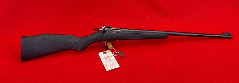 Crickett .22 LR Rifle