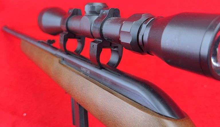 Savage 64 .22 LR Only