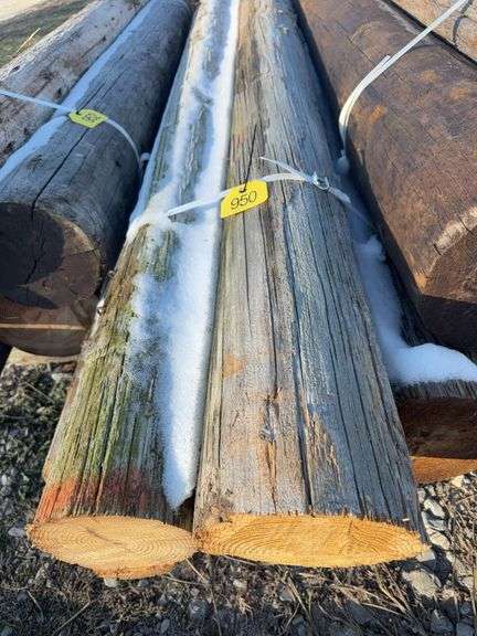 (5) 8’ Telephone Pole Posts