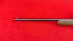 Savage 64 .22 LR Only