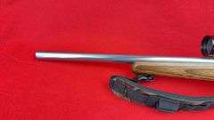 Ruger 10/22 .22 LR
