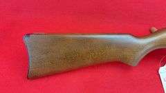 Ruger 10/22 .22 Cal