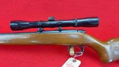 Remington 582 22 S, L, LR