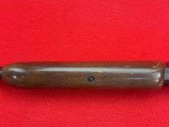 Savage 24-E .410 3"/.22 LR