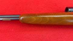 Remington 582 22 S, L, LR