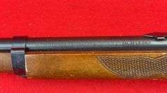 Marlin Glenfield 75 22 LR