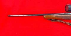 Ruger M77  .243 Winchester Caliber