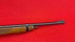 Marlin Glenfield 75 22 LR