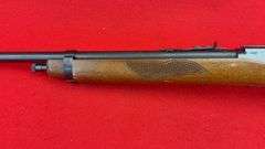 Marlin Glenfield 75 22 LR