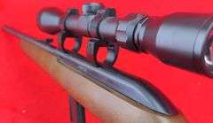 Savage 64 .22 LR Only