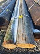 (5) 8’ Telephone Pole Posts