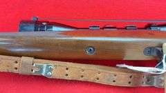 Remington 700 22-250 REM