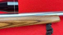 Ruger 10/22 .22 LR