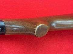 Savage 24-E .410 3"/.22 LR