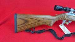 Ruger 10/22 .22 LR