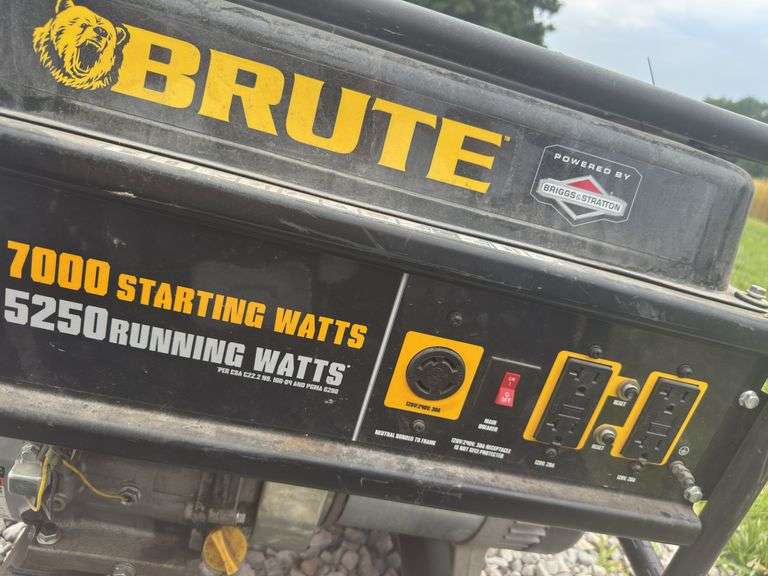 Briggs & Stratton 7000 Watts, Worked When Used Last.