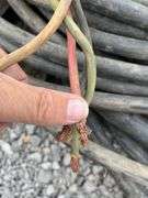 Pallet of 4 Strand Copper Wire, Heavy, Unknown Gauge, one Wire Measures 7/8” Another Measures 1 1/4” Diameter Including Insulation, Also 10Ga Extension Cord approximately 30’, 50’ 12Ga Extension Cord
