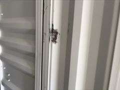 40’ AGT 4 Side Doors and 1 Back Door Container, 40' long x 8' wide,
1 ea. Back Doors measures 102" tall X 92" wide,
4 ea. Side Doors  measures  98" tall X 92" wide,
inside dimension 89” wide,
Tie down anchors on inside of container,
Minor floor scratches on inside, minor damage on left side at bottom at rear of container,
All doors have weatherstripping, 
1 time use,
Has vents on side walls, 
Container # CFGU403507  9