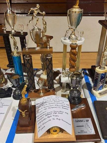 2006 2nd Place 7th Grade IESA AA Girls Track Sectional, 1926 2nd Place State Shorthand Contest, No Date 2nd Place Little 8 Tournament, 1981 1st Place Montgomery County Baseball Tournament, 1976 1st Place Montgomery County Track Meet, 1978 Golden Apple Trophy, 1964 3rd Place Greenville Junior High Tournament